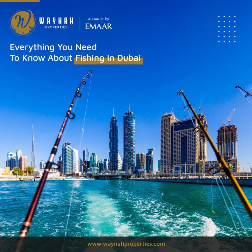 Everything You Need To Know About Fishing In Dubai