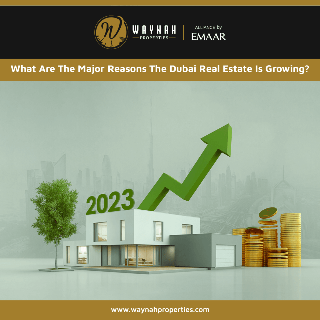 What Are The Major Reasons The Dubai Real Estate Is Growing?